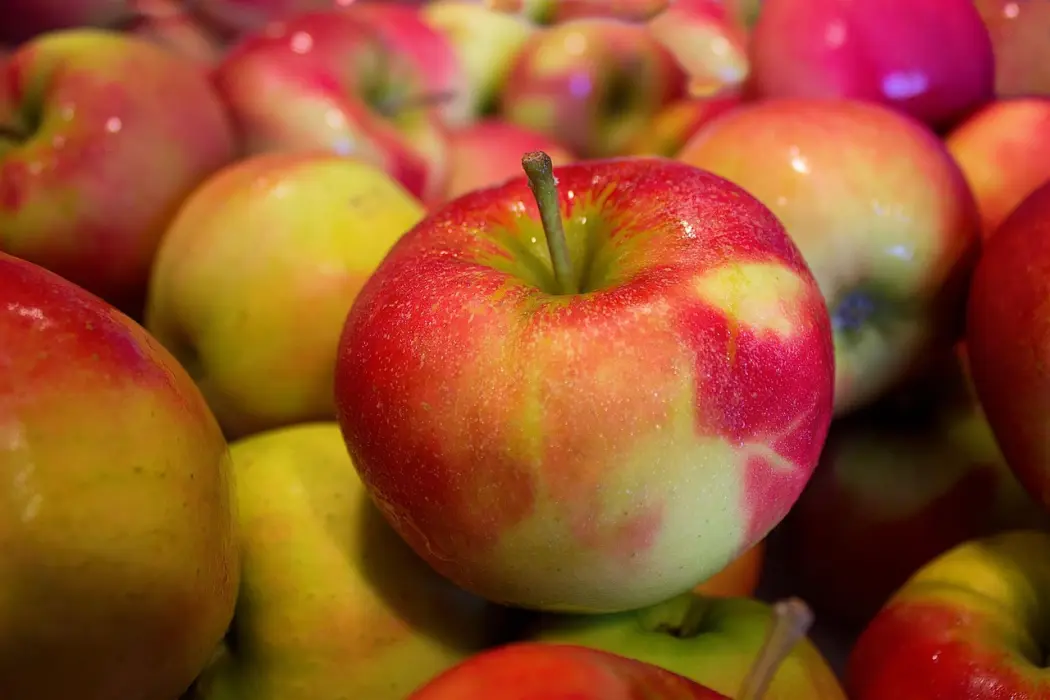 Gdzie można kupić dobry ocet jabłkowy?