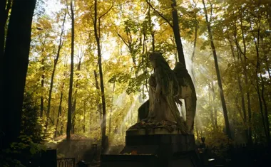 Ile kosztuje grób w Kędzierzynie-Koźlu? Aktualne opłaty na cmentarzach komunalnych