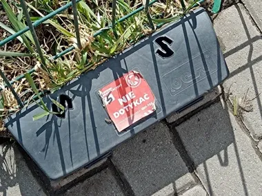 Szczury wracają tam, gdzie leży jedzenie – czas na obowiązkowe odszczurzanie