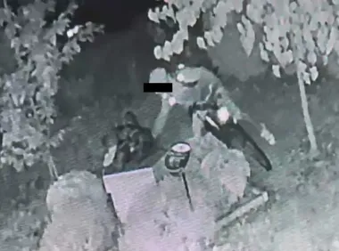 Koziołki niszczone jeden po drugim. Monitoring zarejestrował wandala