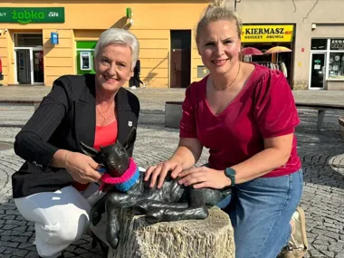Różowe i niebieskie szaliki na miejskich koziołkach. To symbol badań