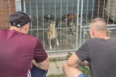 Osadzeni pomagali w schronisku. Spacery z psami były lekcją odpowiedzialności