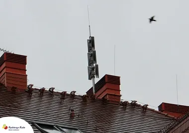 Syreny w Kędzierzynie-Koźlu odezwą się tylko na próbę