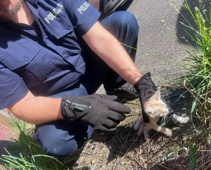 Miauczenie spod nadkola skończyło się szybką akcją policji w Kędzierzynie-Koźlu