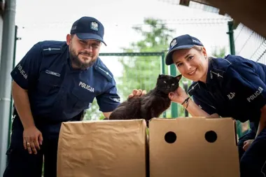 Policjanci z Kędzierzyna-Koźla ruszyli na pomoc zwierzętom