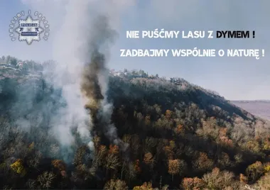 Jedna iskra wystarczy - lasy płoną najczęściej przez człowieka